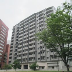 総戸数134戸の大型マンション外観